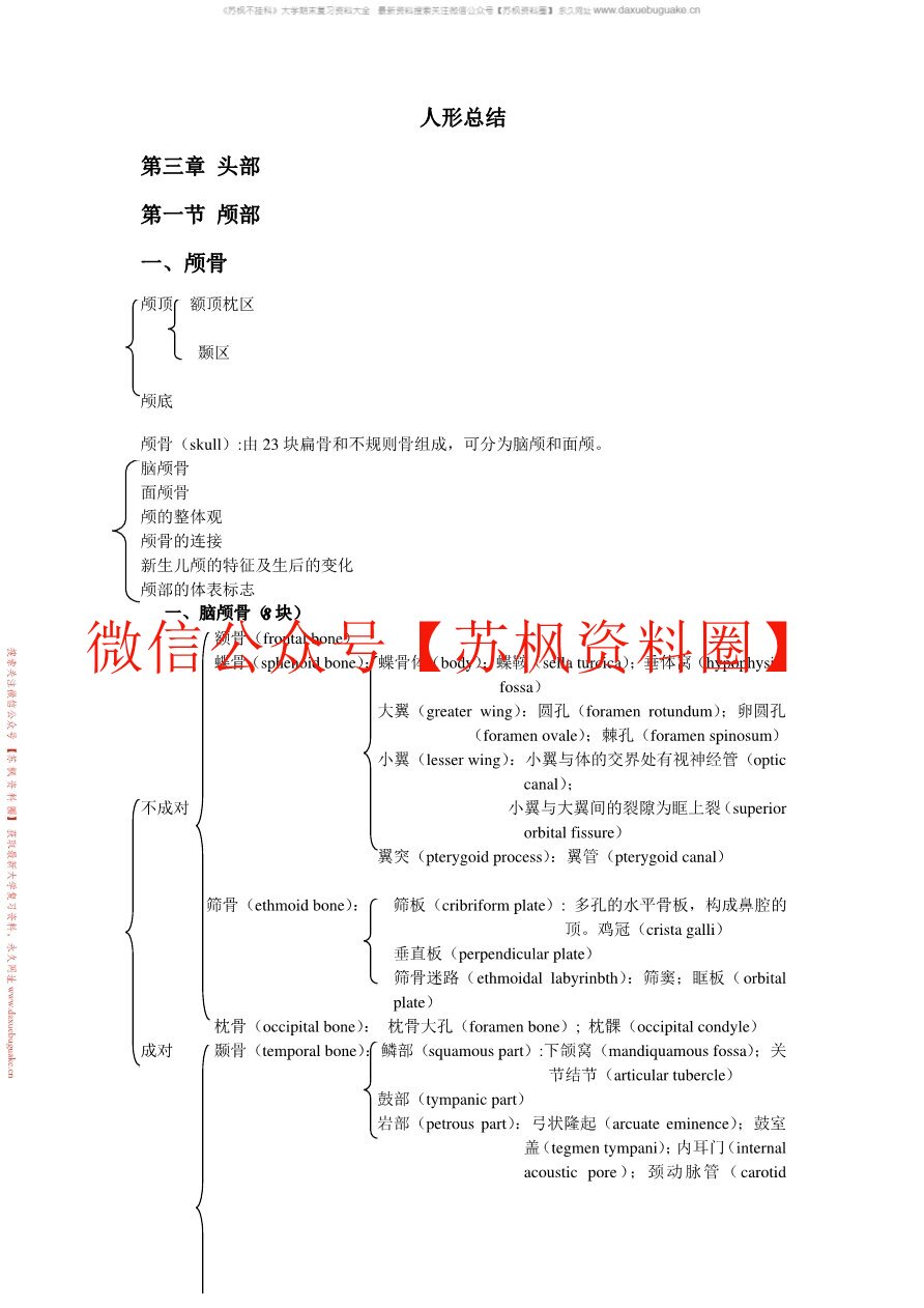 人体形态学